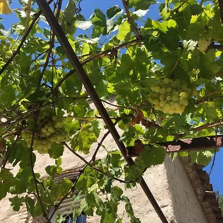 Villa Maison Pomme De Pin *